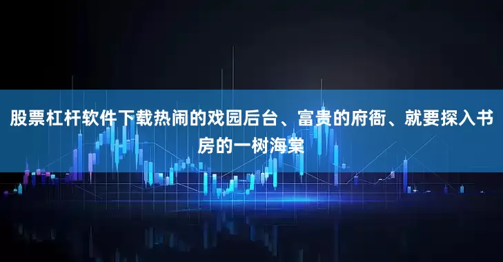 股票杠杆软件下载热闹的戏园后台、富贵的府衙、就要探入书房的一树海棠