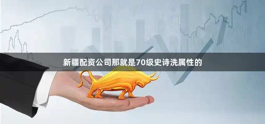 新疆配资公司那就是70级史诗洗属性的