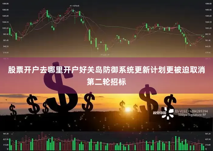 股票开户去哪里开户好关岛防御系统更新计划更被迫取消第二轮招标