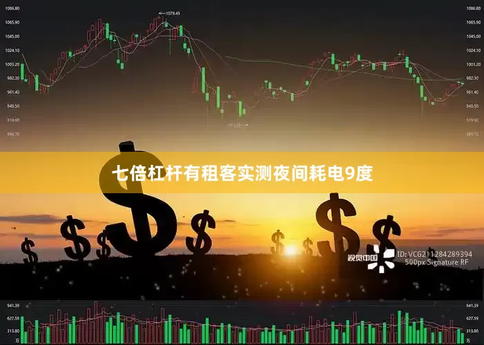 七倍杠杆有租客实测夜间耗电9度